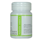 Pueraria Mirifica bröstförstoringspiller - Regina